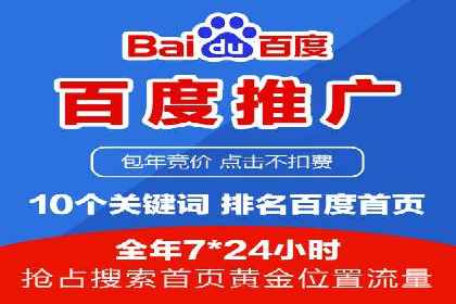 百度平台推广策略及成功案例解析